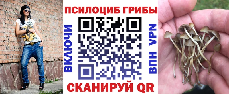 купить наркотик  Ивангород  blacksprut ТОР  Галлюциногенные грибы GOLDEN TEACHER 